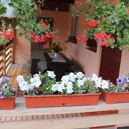 Casa Andreia Villa Gura Humorului Ngoại thất bức ảnh