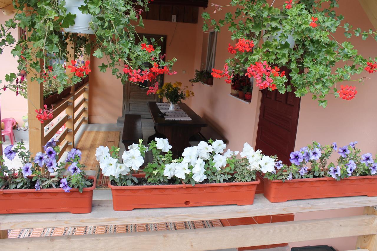 Casa Andreia Villa Gura Humorului Ngoại thất bức ảnh